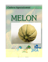 Nicaragua Cadena agroindustrial del melón